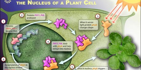 Article teaser image