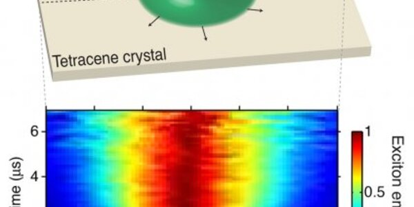 Article teaser image