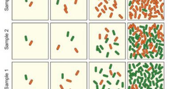 Article teaser image