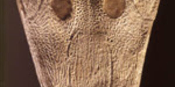 Article teaser image