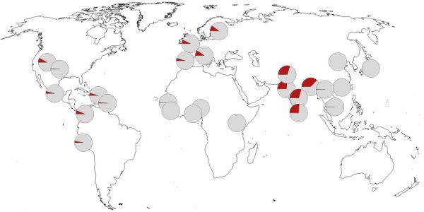 Severe COVID-19 Reaction? Blame Neanderthals
