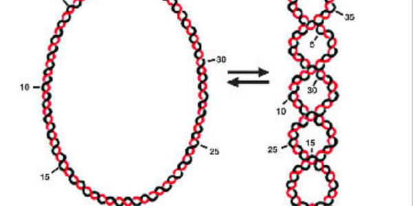 Article teaser image