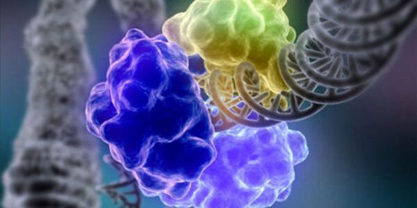 Article teaser image