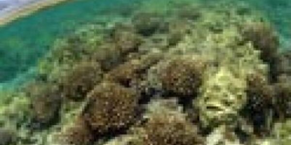 Article teaser image