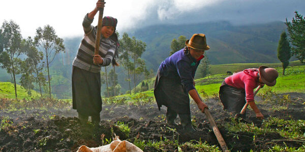 Article teaser image