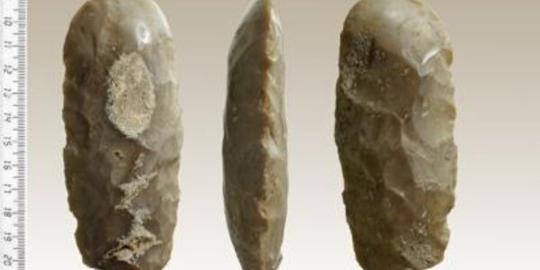 Article teaser image