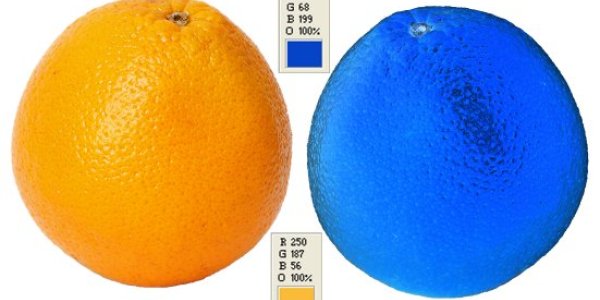 What Color Is An Orange ?
