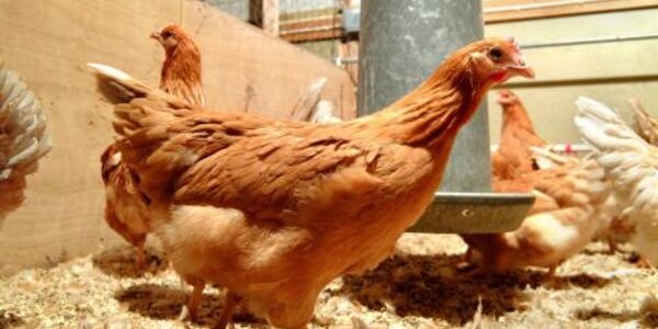 Article teaser image