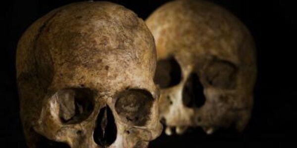 Article teaser image