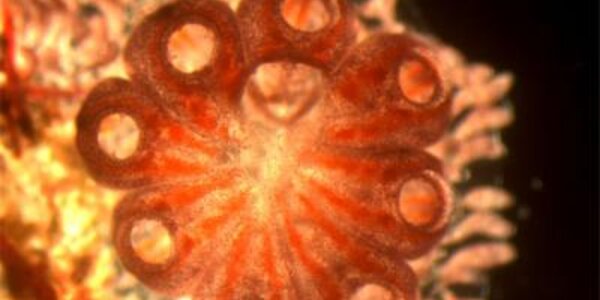 Article teaser image