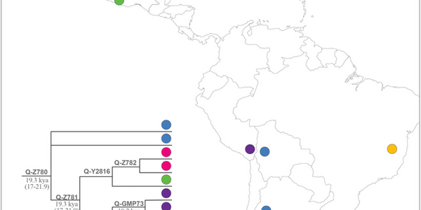 Article teaser image