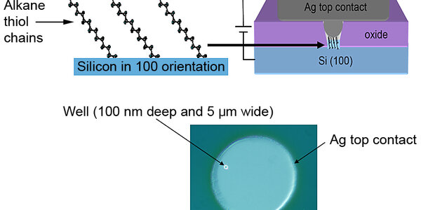 Article teaser image