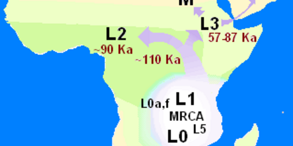 Article teaser image