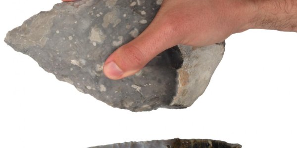 Modern Human-Like Gripping Capabilities Existed In Ancestors 500,000 Years Ago