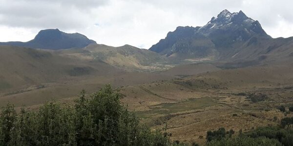 Article teaser image