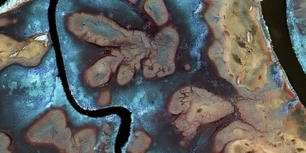 Article teaser image