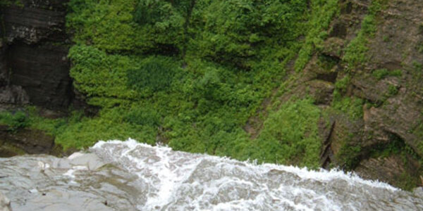 Article teaser image