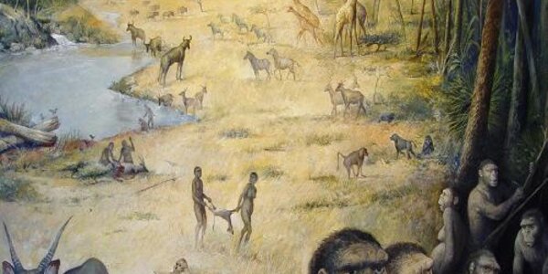 Article teaser image