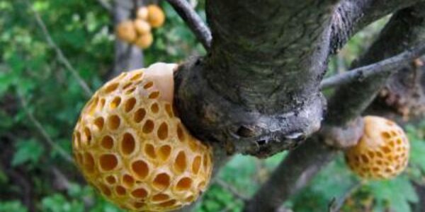 Article teaser image