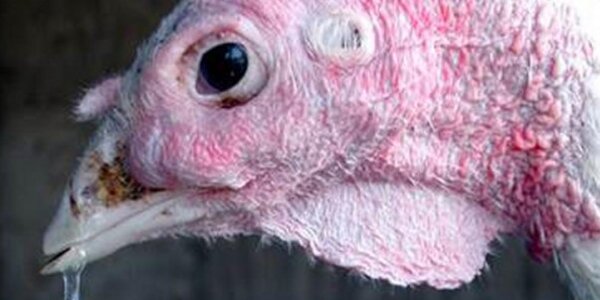 Article teaser image