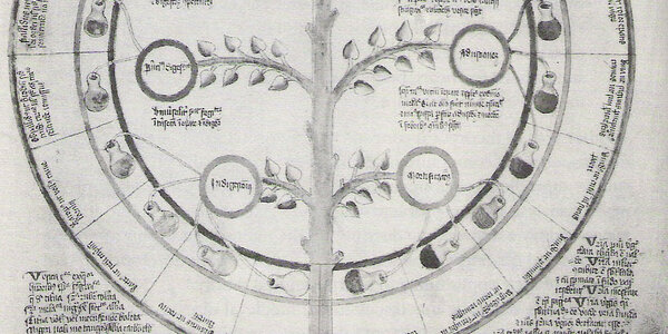 Article teaser image