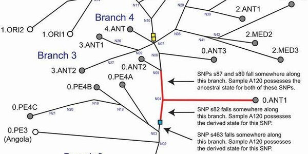 Article teaser image