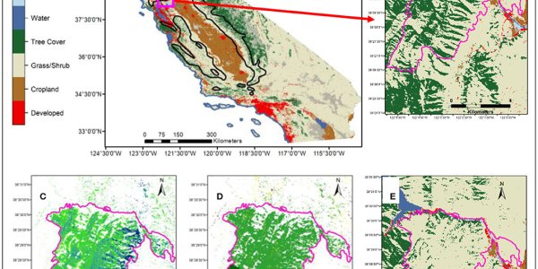 Too Little Water Storage, Pseudoscience Environmental Laws, Plus Drought Put California At Risk