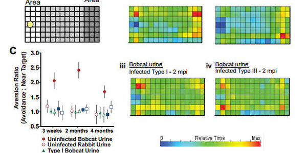 Article teaser image