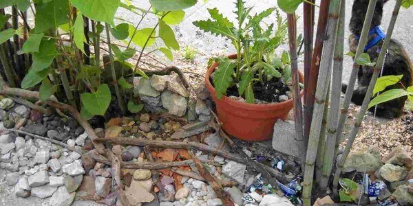 Article teaser image