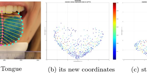 Bitter Or Sweet? It's Not Just Preference, Tongues Have Evolved In Different Areas