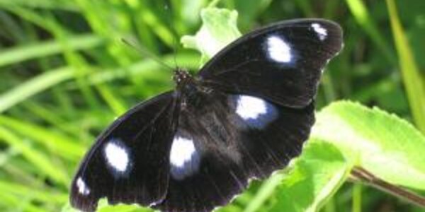 Article teaser image