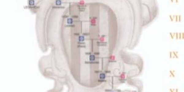 14 People Can Claim They Are Related To Leonardo Da Vinci