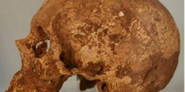 Trophy Skull Sheds Light On Ancient Wari Empire