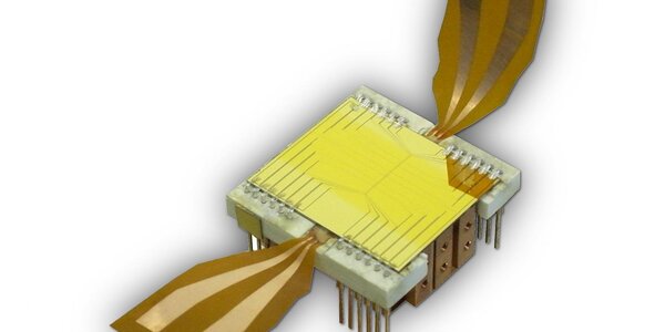 Article teaser image