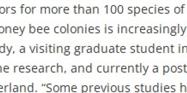 The Top 3 Causes Of Bee Colony Collapses Are Mites, Mites, And Mites - Any Other Claim Is Selling Something