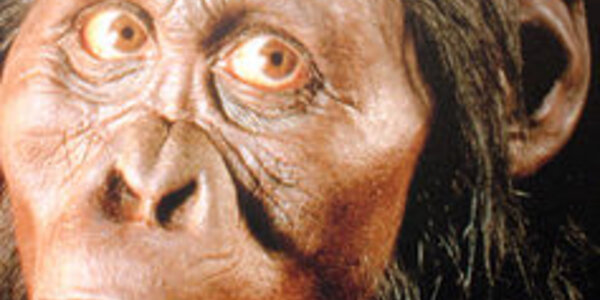 Article teaser image