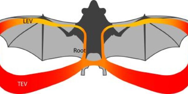 Article teaser image