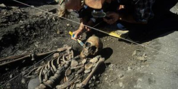 Article teaser image