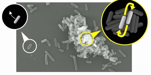 Reconciling Evolution And Cooperation
