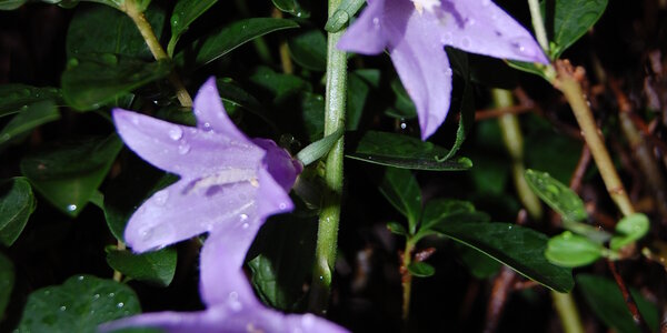 Article teaser image