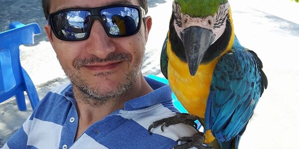 Article teaser image