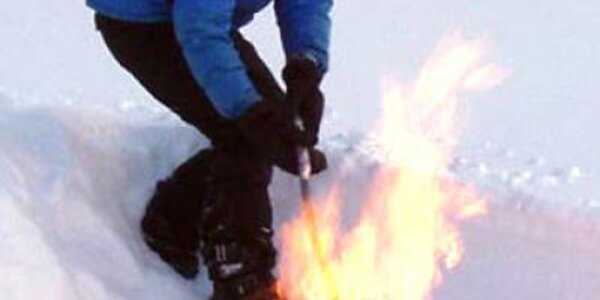 Article teaser image