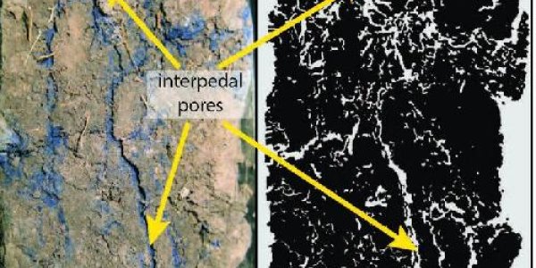 The Secret Life In Soil Revealed