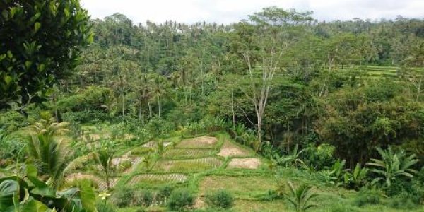 ArchaeoGLOBE Project: If There Is An Anthropocene Epoch, It Started 4,000 Years Ago