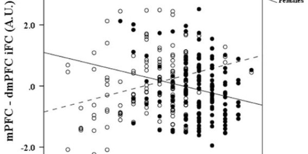 At Puberty, Brain Networks Related To Mood Problems Develop Differently In Males And Females