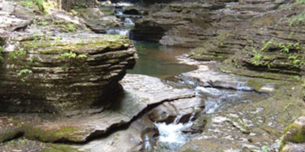 Article teaser image