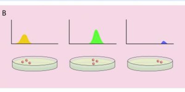 Article teaser image