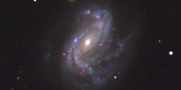 Did intergalactic pollution create life?