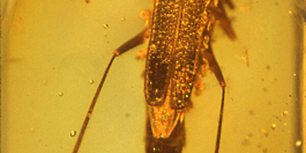 Article teaser image