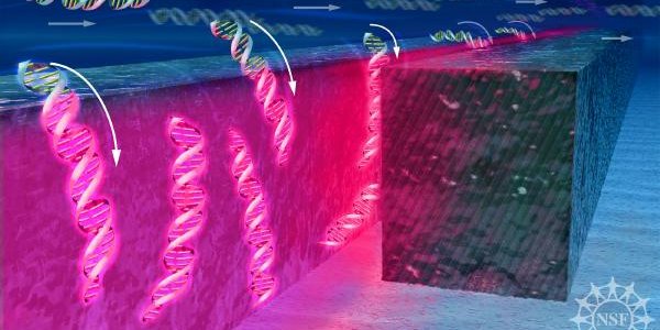 Nano Tractor Beam Of Light Traps DNA